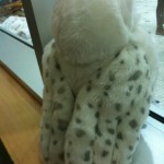 Harry Potter’s Hedwig the Owl Watches Swim Class Wordless Wednesday with LINKY #WW