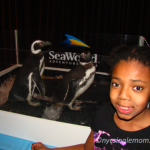 Sea World Penguins