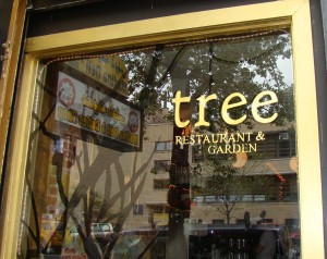 Tree Restaurant and Garden, East Village NYC Tree Restaurant and Garden, East Village NYC
