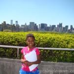 Metropolitan Museum of Art  Roof Top View