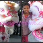 Chinese New Year Dragon – Wordless Wednesday Linky