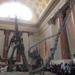 Visiting the American Museum of Natural History