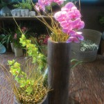 Hawaii: Islands of Aloha - The Philadelphia Flower Show