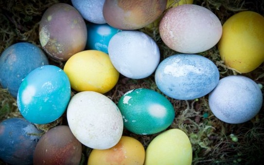 vegetable dyed easter eggs