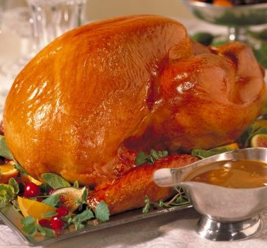 turkey images