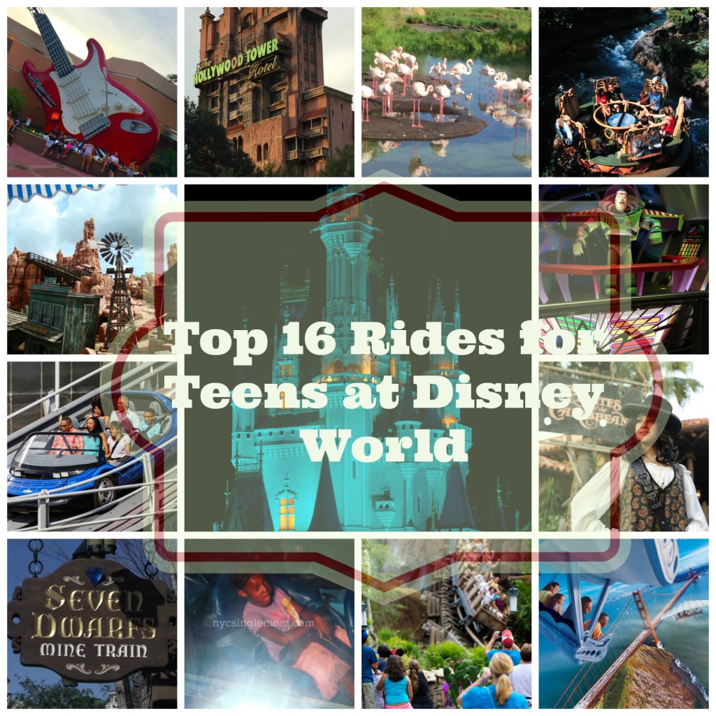 Disney World Rides for Teens