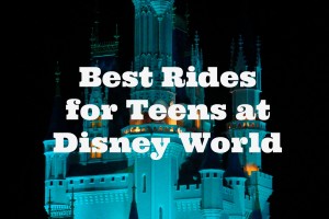 "Best rides for Teens at Disney World"