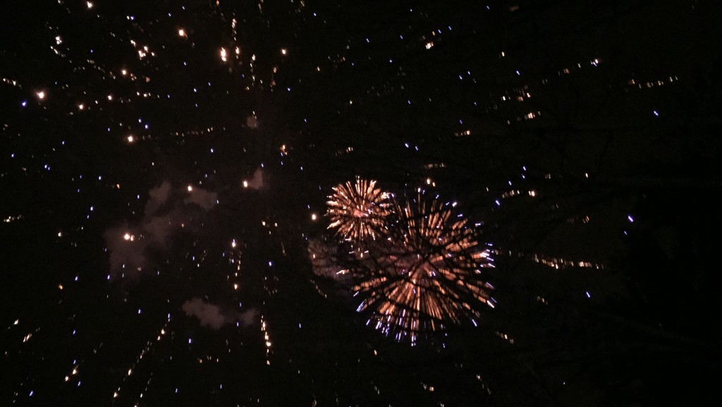 Central Park Fireworks 2015jpg