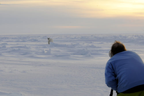 "World Best Photo Tours, Polar Bear - Credit Adventure Life"