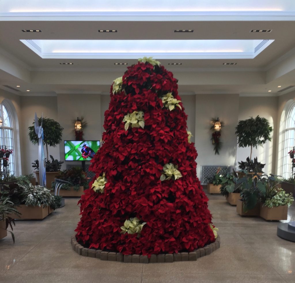 hershey-garden-poinsettia-tree