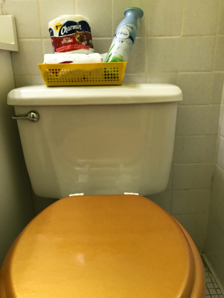 toilet seat