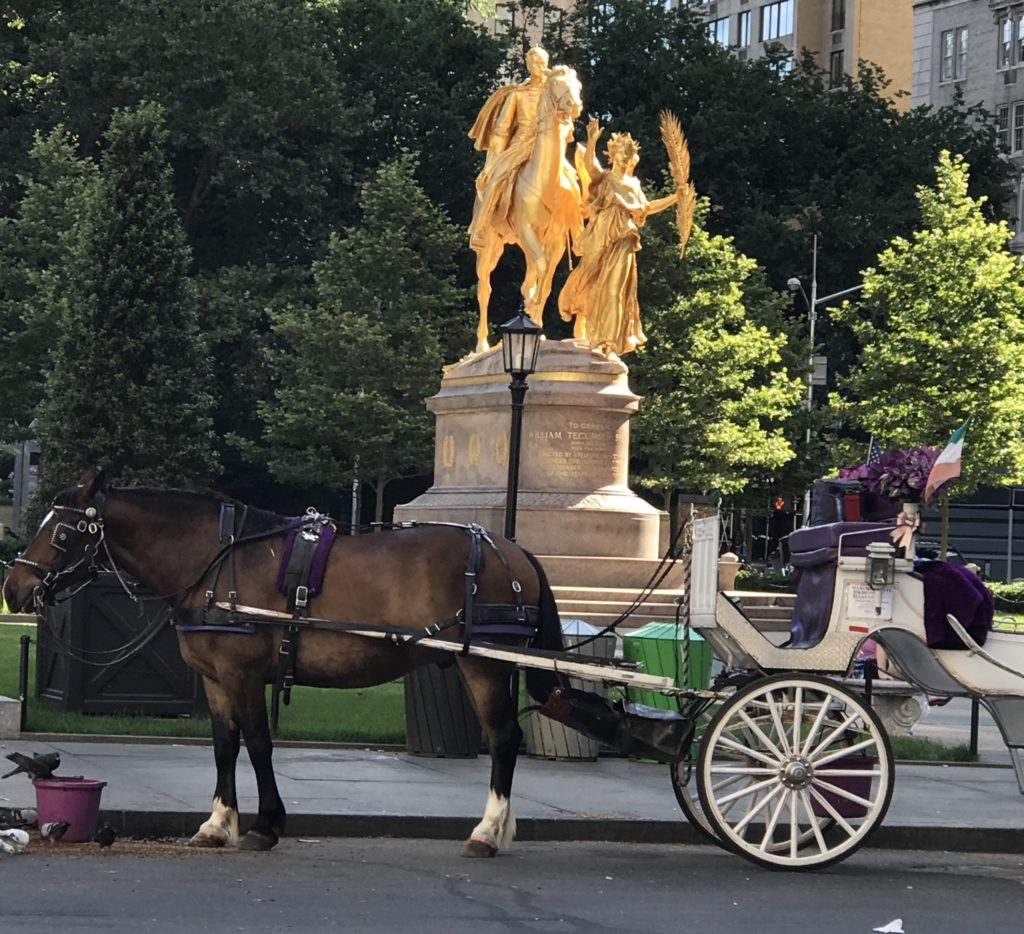 "Sherman Statue Central Park"