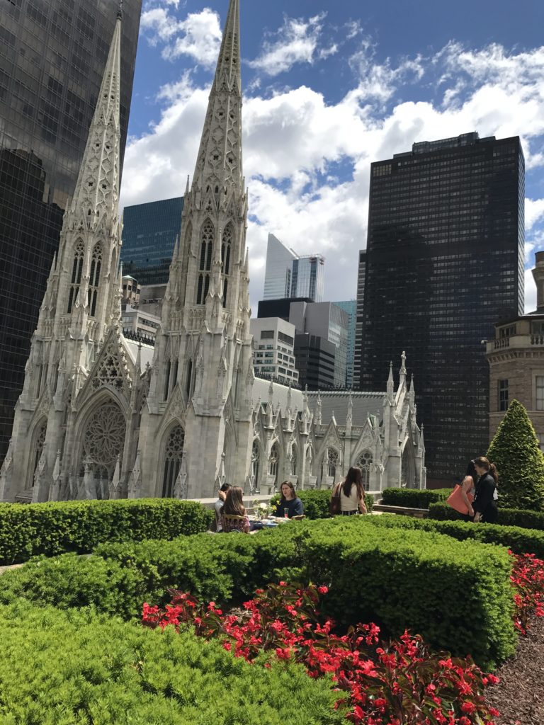 "St Patricks Cathedral"