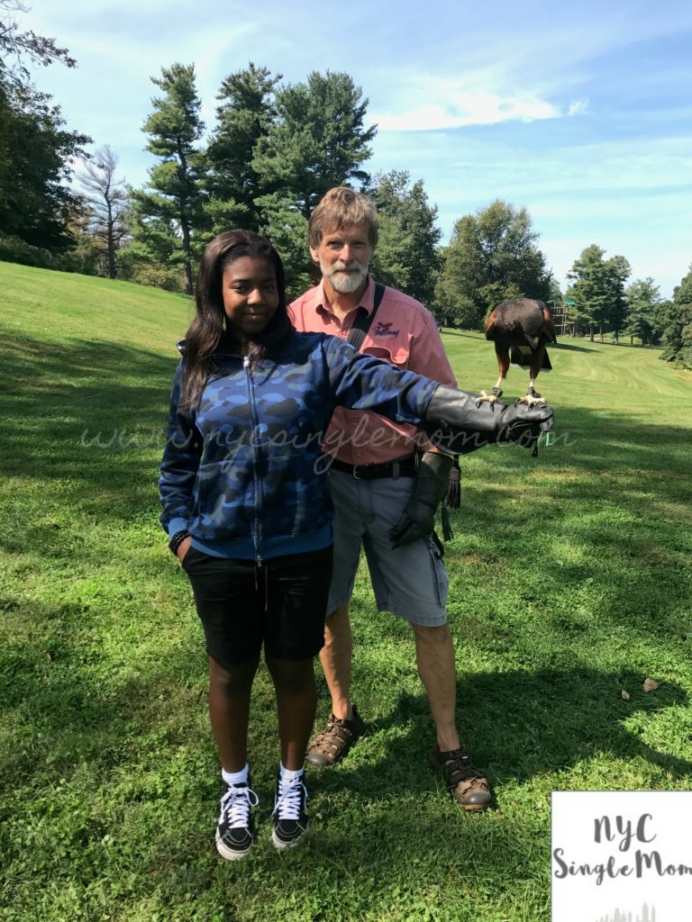 "Hotel Hershey, Falconry Experience at Hershey, Falconry"