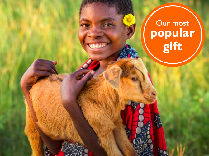 Look to World Vision Gift Catalog for Holiday Gift Giving