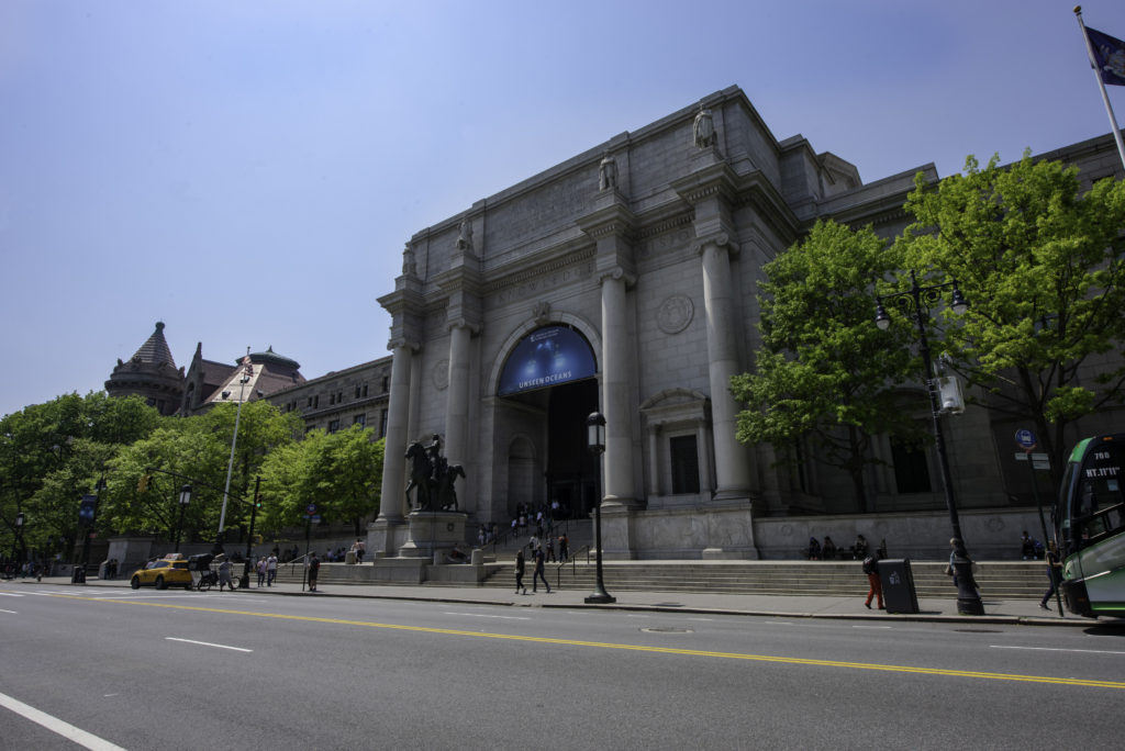 "American Museum of Natural History"