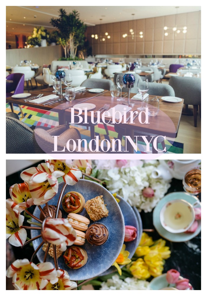 "Bluebird London NYC"