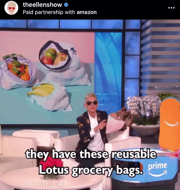 Reusable grocery bag, Lotus Trolley bags