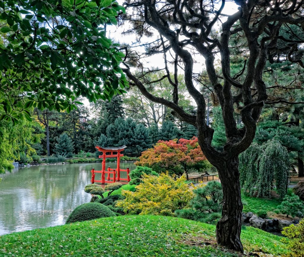 Brooklyn Botanic Garden, Japanese HIll and Pond Garden