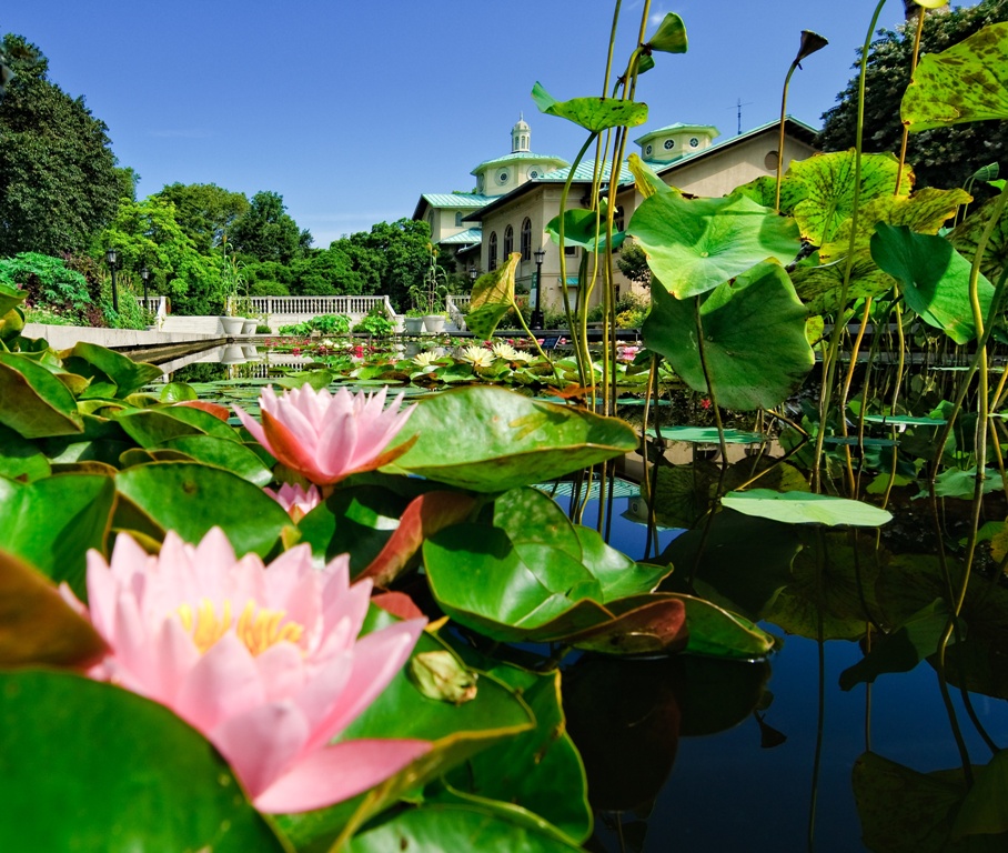 Brooklyn Botanic Garden